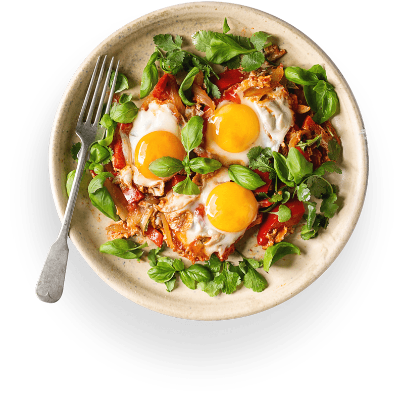 Vegan Recipes- Home page
